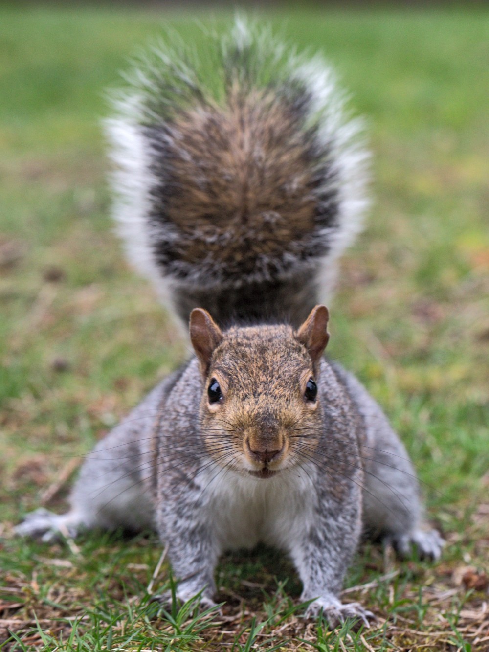 author photo